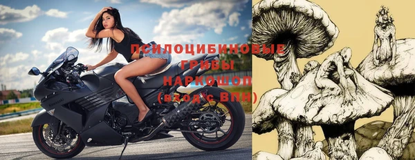 mdpv Киров