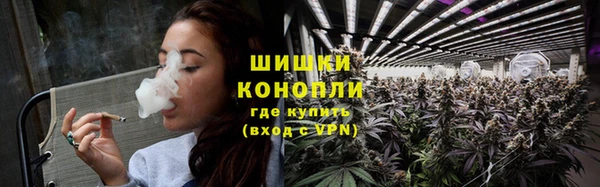мдпв Болхов