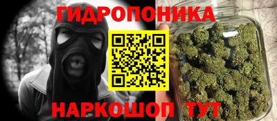 шишки Апшеронск