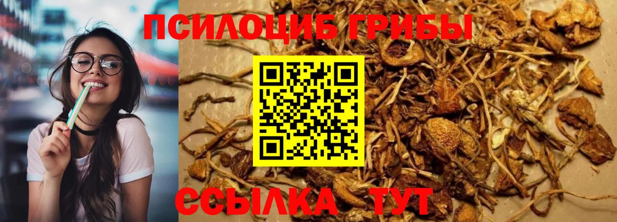 Галлюциногенные грибы MAGIC MUSHROOMS Бердск