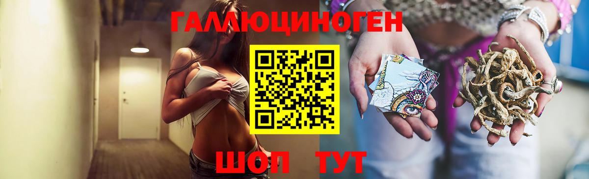 Галлюциногенные грибы мухоморы  Псилоцибиновые грибы мухоморы  Бердск  Вход с VPN 