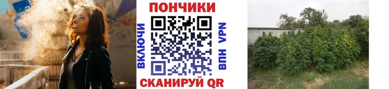 дарнет шоп  Бердск  МАРИХУАНА конопля 